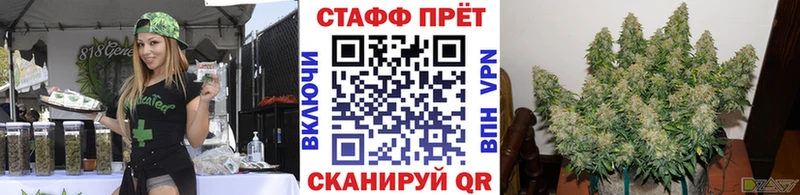 Галлюциногенные грибы Микунь