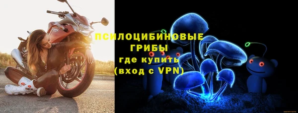 ешки Богданович
