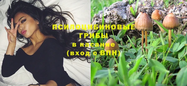 Альфа ПВП Богородск
