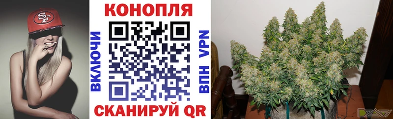 цены наркотик  Микунь  Конопля MAZAR 